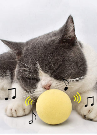 Smart Cat Ball Catnip Interactive Chirping Balls for Cat Exercise