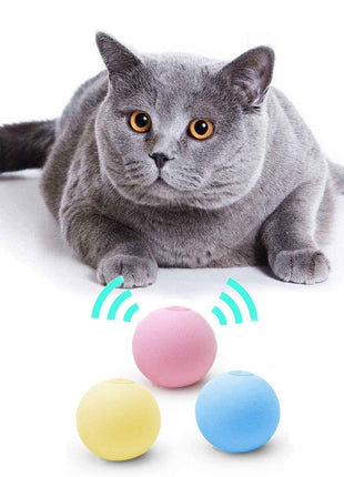 Smart Cat Ball Catnip Interactive Chirping Balls for Cat Exercise
