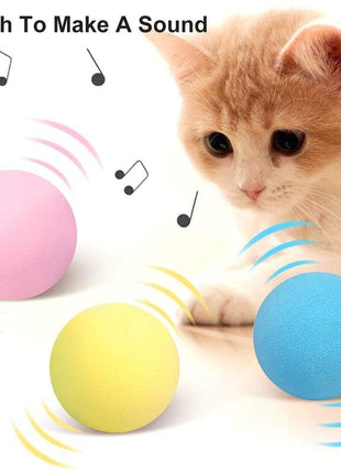 Smart Cat Ball Catnip Interactive Chirping Balls for Cat Exercise