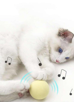 Smart Cat Ball Catnip Interactive Chirping Balls for Cat Exercise