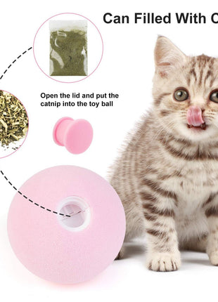 Smart Cat Ball Catnip Interactive Chirping Balls for Cat Exercise