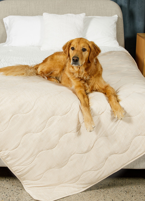 PupChill™ Cooling Waterproof Blanket - Arctic Sand