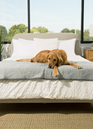 PupChill™ Cooling Waterproof Runner Blanket - Arctic Grey