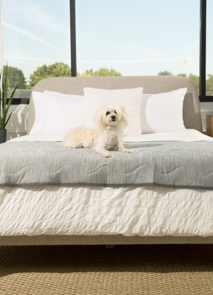 PupChill™ Cooling Waterproof Runner Blanket - Arctic Grey