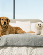 PupChill™ Cooling Waterproof Runner Blanket - Arctic Grey