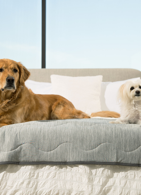 PupChill™ Cooling Waterproof Runner Blanket - Arctic Grey