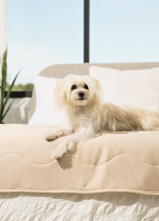 PupChill™ Cooling Waterproof Runner Blanket - Arctic Sand