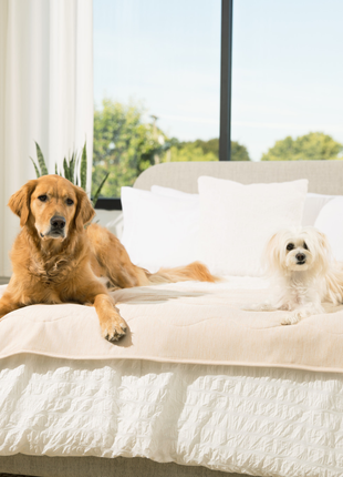 PupChill™ Cooling Waterproof Runner Blanket - Arctic Sand