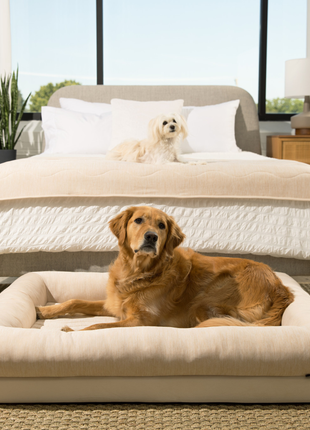 PupChill™ Cooling Waterproof Runner Blanket - Arctic Sand