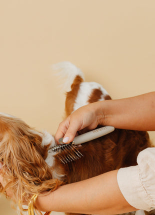 Pup Parent Essentials
