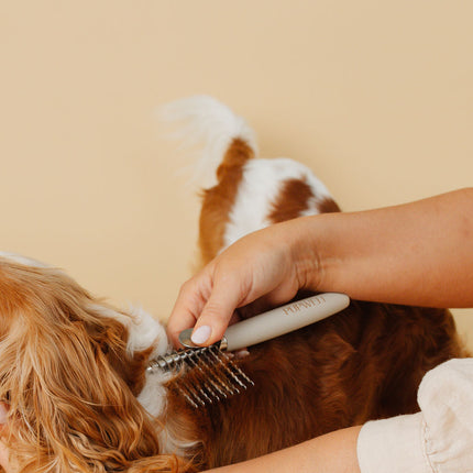 Pup Parent Essentials