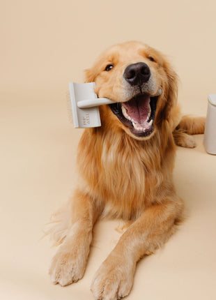 Everyday Slicker Brush