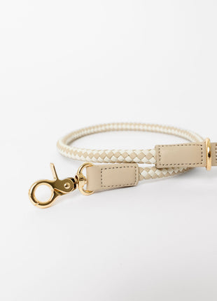 City Walk Kit (wholesale) - Pup List