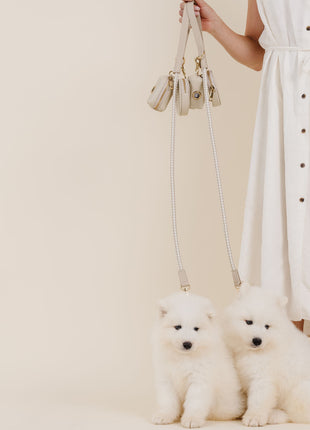 City Walk Kit (wholesale) - Pup List