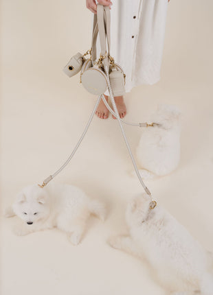 City Walk Kit (wholesale) - Pup List