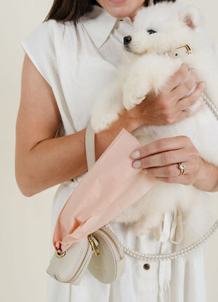 City Walk Kit (wholesale) - Pup List