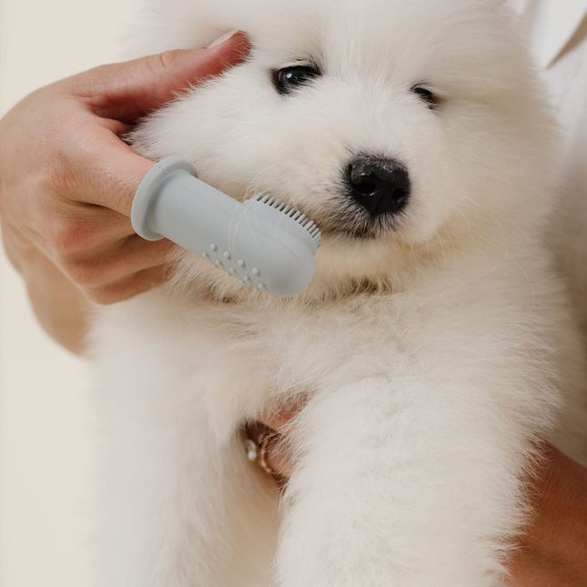 Puppy Breath Toothbrush