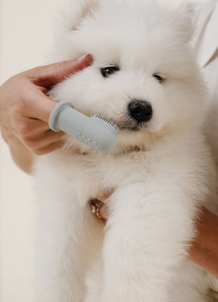 Puppy Breath Toothbrush (wholesale) - Pup List