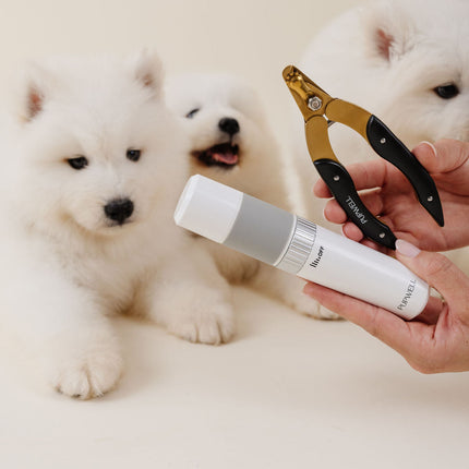 Iconic Nail Duo