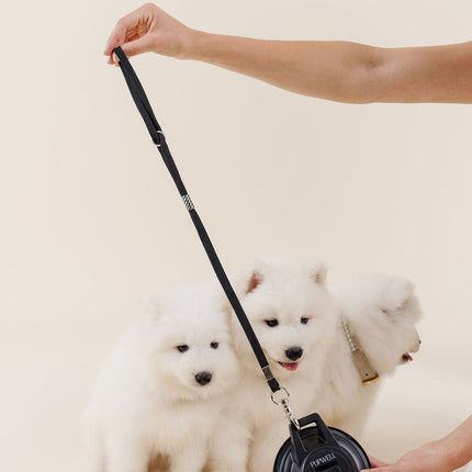Stay In Place Leash