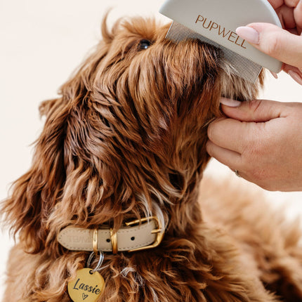 Ultimate Dog Grooming Kit