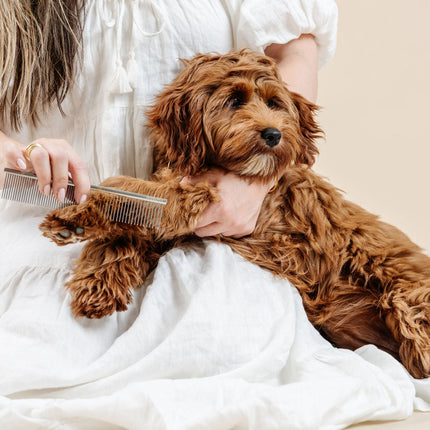 Pup Parent Essentials