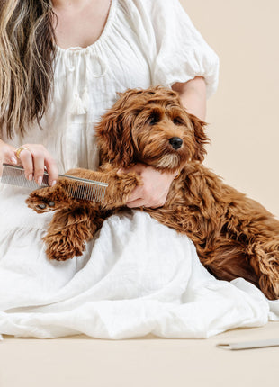 Pup Parent Essentials