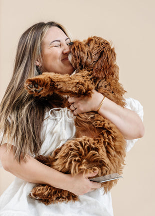 Ultimate Dog Grooming Kit