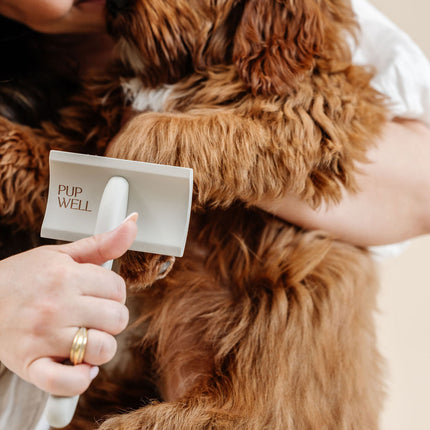 Everyday Slicker Brush