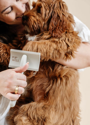 Everyday Slicker Brush