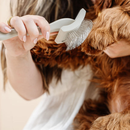Everyday Slicker Brush