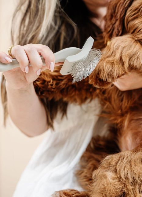 Everyday Slicker Brush