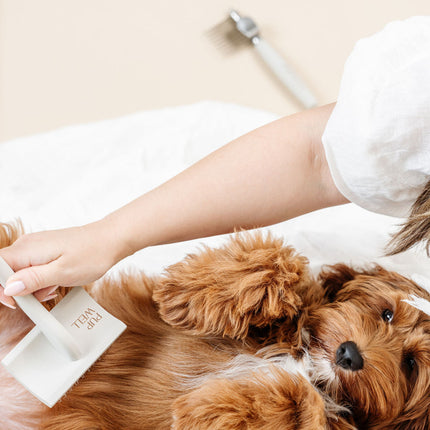 Pup Parent Essentials