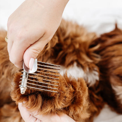 Pup Parent Essentials