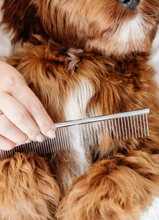 Everyday Comb