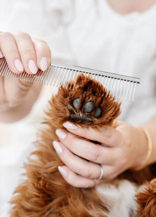 Ultimate Dog Grooming Kit