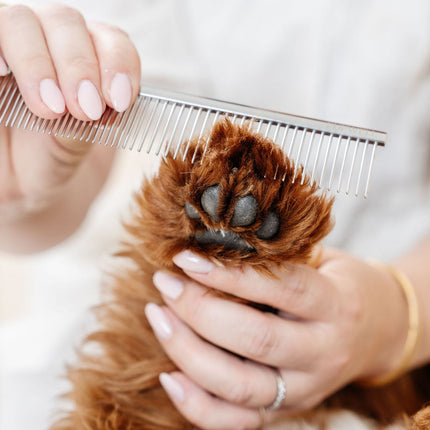 Ultimate Dog Grooming Kit