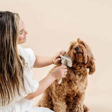 Everyday Slicker Brush