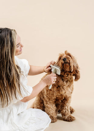 Everyday Slicker Brush