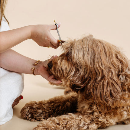 Ultimate Dog Grooming Kit
