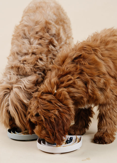 Happy Feelings Lick Mat