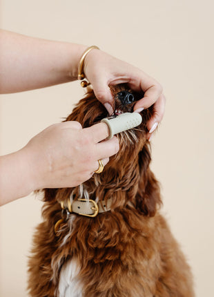 Puppy Breath Toothbrush