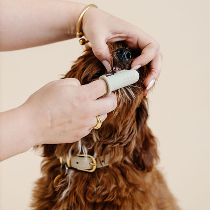 Puppy Breath Toothbrush