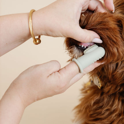 Puppy Breath Toothbrush