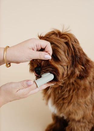 Puppy Breath Toothbrush