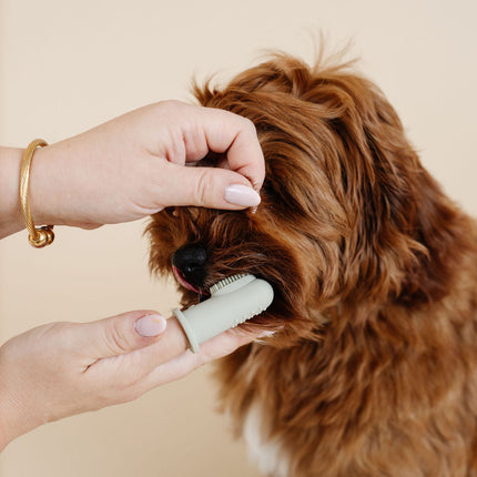 Puppy Breath Toothbrush
