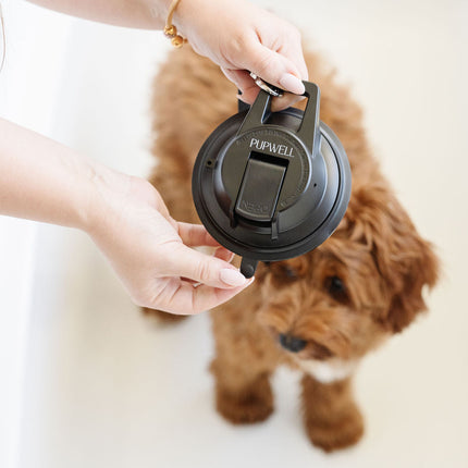 Stay In Place Leash