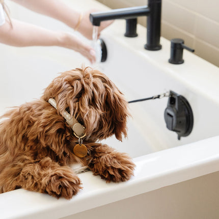 Ultimate Dog Grooming Kit