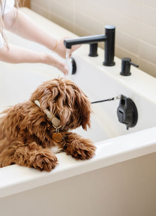 Ultimate Dog Grooming Kit