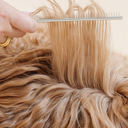 Pup Parent Essentials